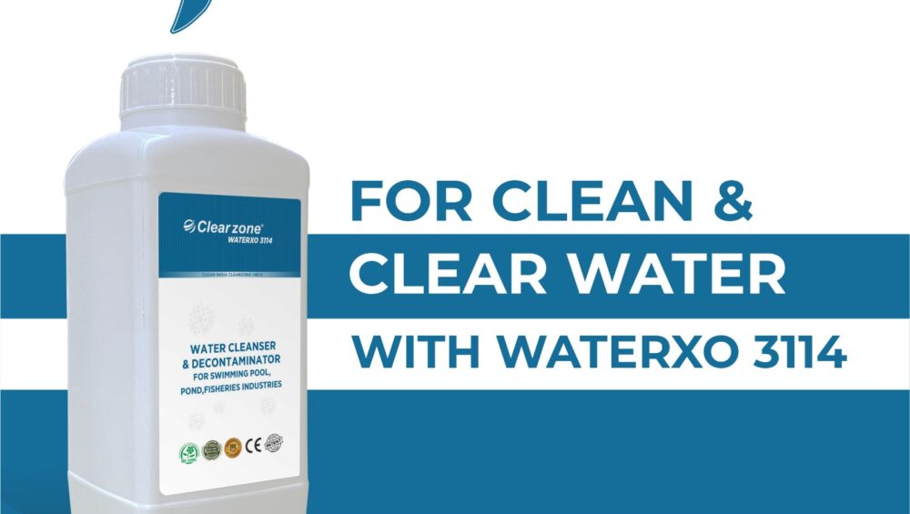 Safe Water, Healthy Environment: The Effectiveness of Waterxo 3114