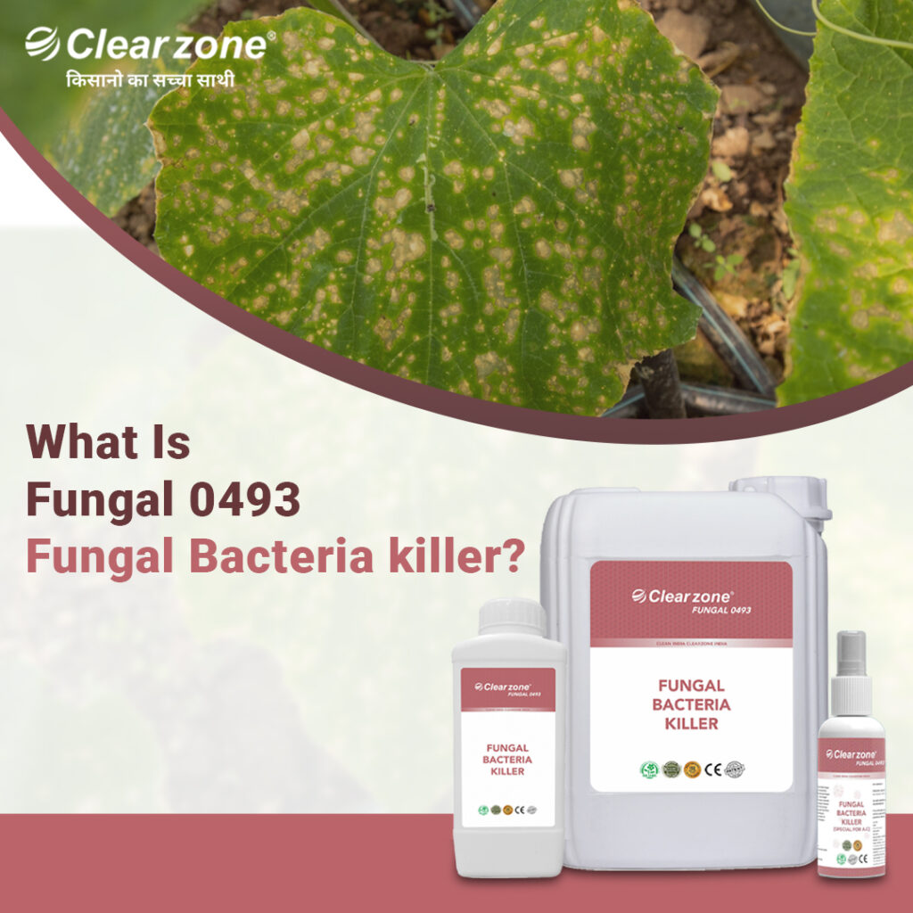 What Is Fungal 0493 Fungal Bacteria Killer?