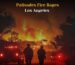 Palisades Fire Rages: Winds, Evacuations, and Support Efforts in Los Angeles