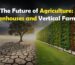 Vertical farming setup showing dry land vs. green vertical agriculture with FARMEXO MINERAL MIX 3116 for high yield and eco-friendly plant growth