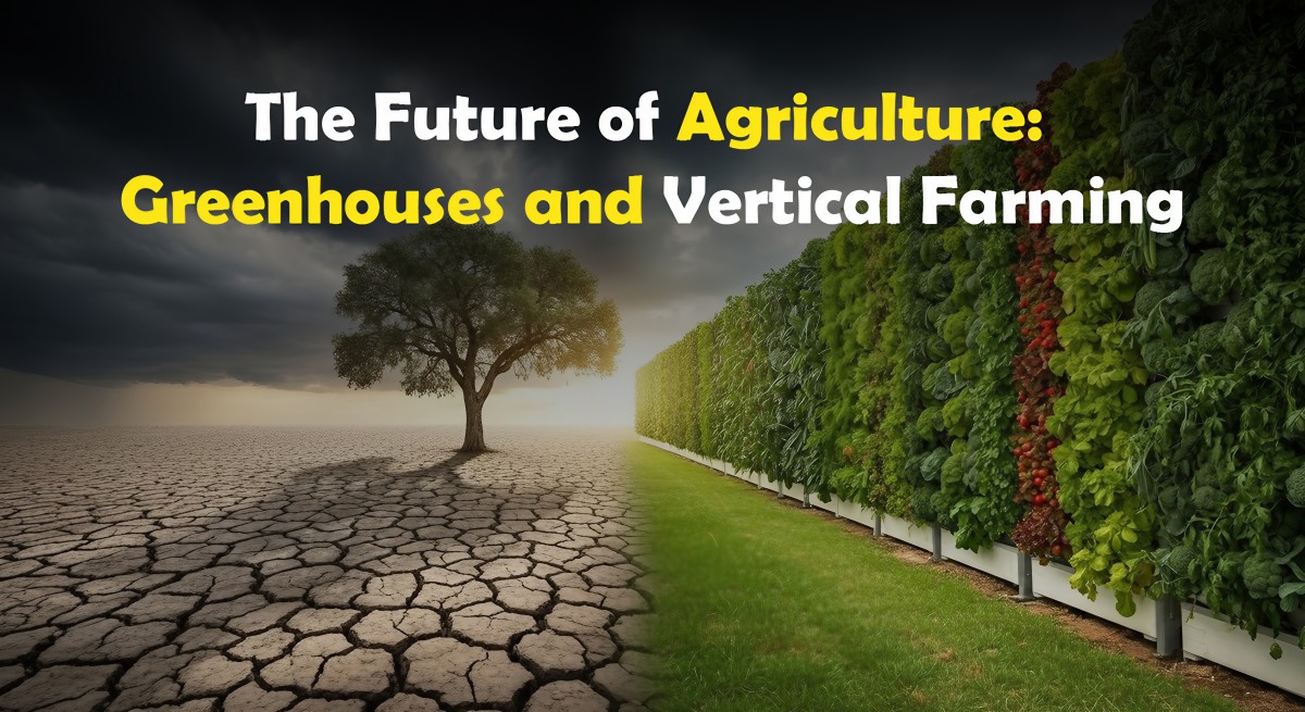 Vertical farming setup showing dry land vs. green vertical agriculture with FARMEXO MINERAL MIX 3116 for high yield and eco-friendly plant growth