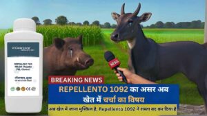 Farm Protection Solution Repellento 1092 द्वारा खेतों में नीलगाय और सूअर से फसल की सुरक्षा