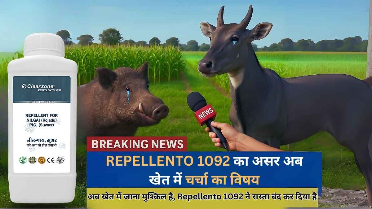 Farm Protection Solution Repellento 1092 द्वारा खेतों में नीलगाय और सूअर से फसल की सुरक्षा