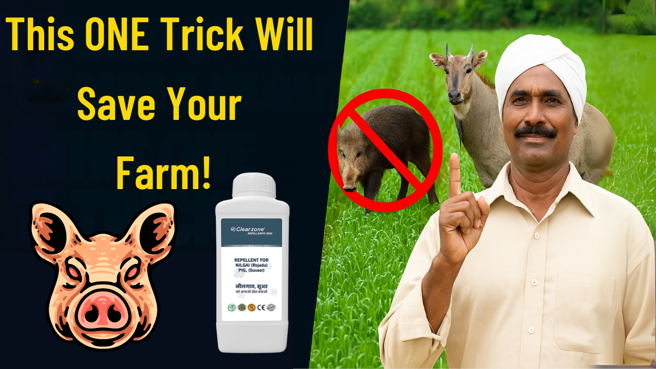save your farm