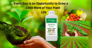 Plant Growth with Clearzone Farmexo Mineral Mix – Boost Root Health and Yield Naturally