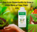 Plant Growth with Clearzone Farmexo Mineral Mix – Boost Root Health and Yield Naturally