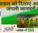 Happy Independence Day Special Offer – Clearzone Repellento 1092 Neelgai and Suar Repellent for Farmers