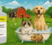 Clearzone SKINEXO Bath 1605 Pet and Farm Animal Skin Cleaner – Clears infection, removes odor, protects skin