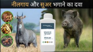 नीलगाय और सुअर भगाने का दवा for Farmers – Clearzone