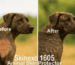 Clearzone Skinexo 1605 – Veterinary Approved Pet Skin Care Solution for dogs, cats, and dairy animals