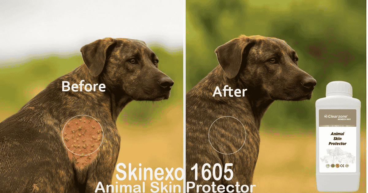Clearzone Skinexo 1605 – Veterinary Approved Pet Skin Care Solution for dogs, cats, and dairy animals