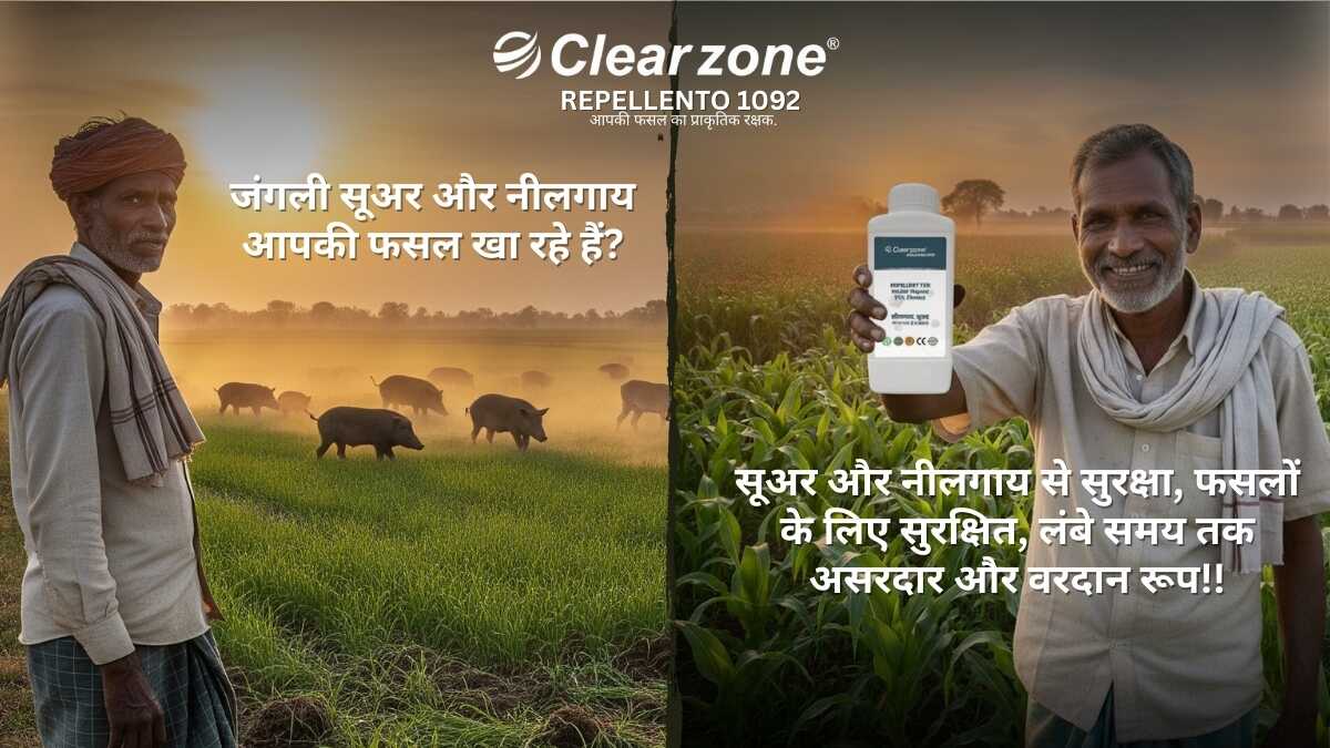 जंगली जानवरो को खेत से भगाने का दवा Repellento 1092, नीलगाय और जंगली सूअर से फसल की सुरक्षा