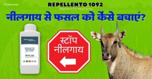 नीलगाय से फसल को कैसे बचाएँ? Repellento 1092 का उपयोग करके खेत की सुरक्षा