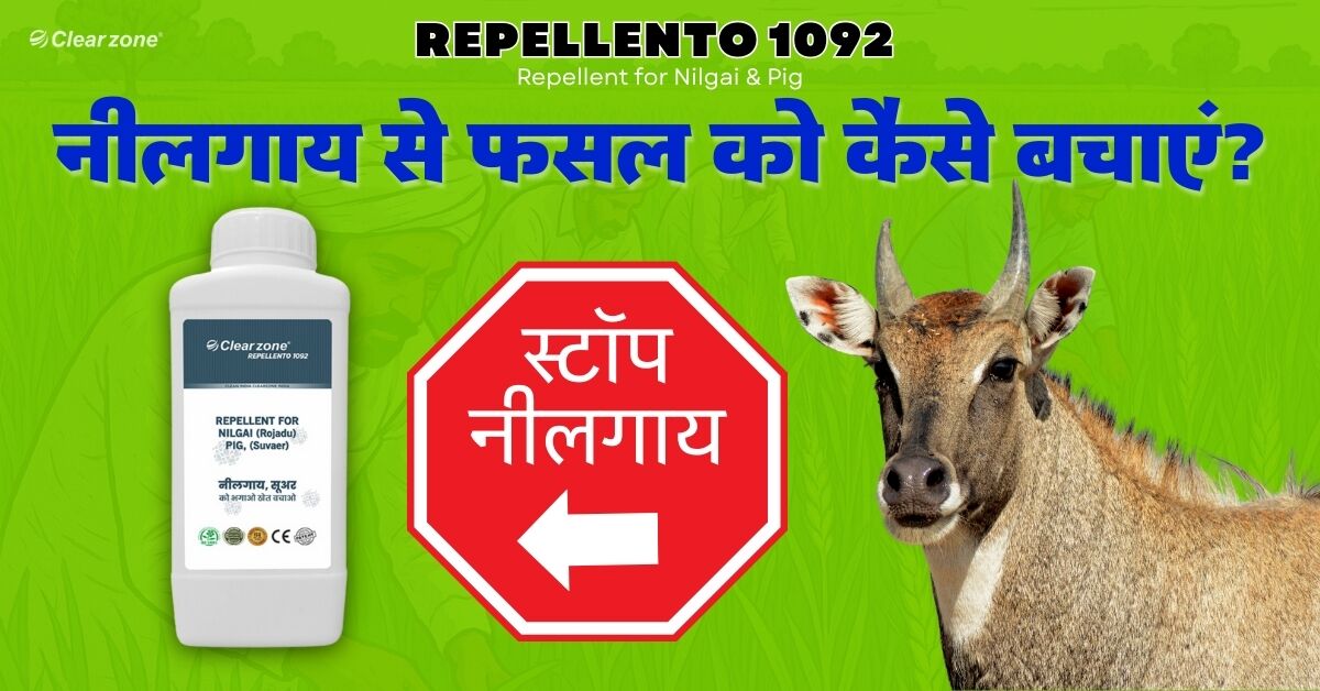 नीलगाय से फसल को कैसे बचाएँ? Repellento 1092 का उपयोग करके खेत की सुरक्षा