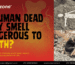 Is Human Dead Body Smell Dangerous to Health – biomedical waste and public health risk