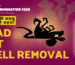 Dead Rat Smell Removal: Badbu Ka Permanent Solution 5 Dead Rat Smell Removal solution for animal dead body odor