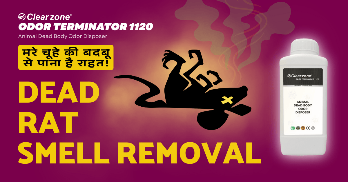 Dead Rat Smell Removal solution for animal dead body odor