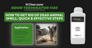 How to Get Rid of Dead Animal Smell safely and effectively