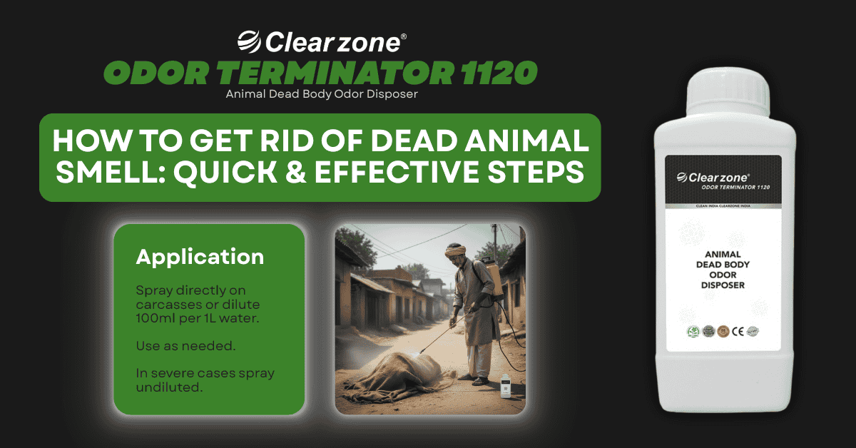 How to Get Rid of Dead Animal Smell safely and effectively