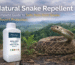 natural snake repellent