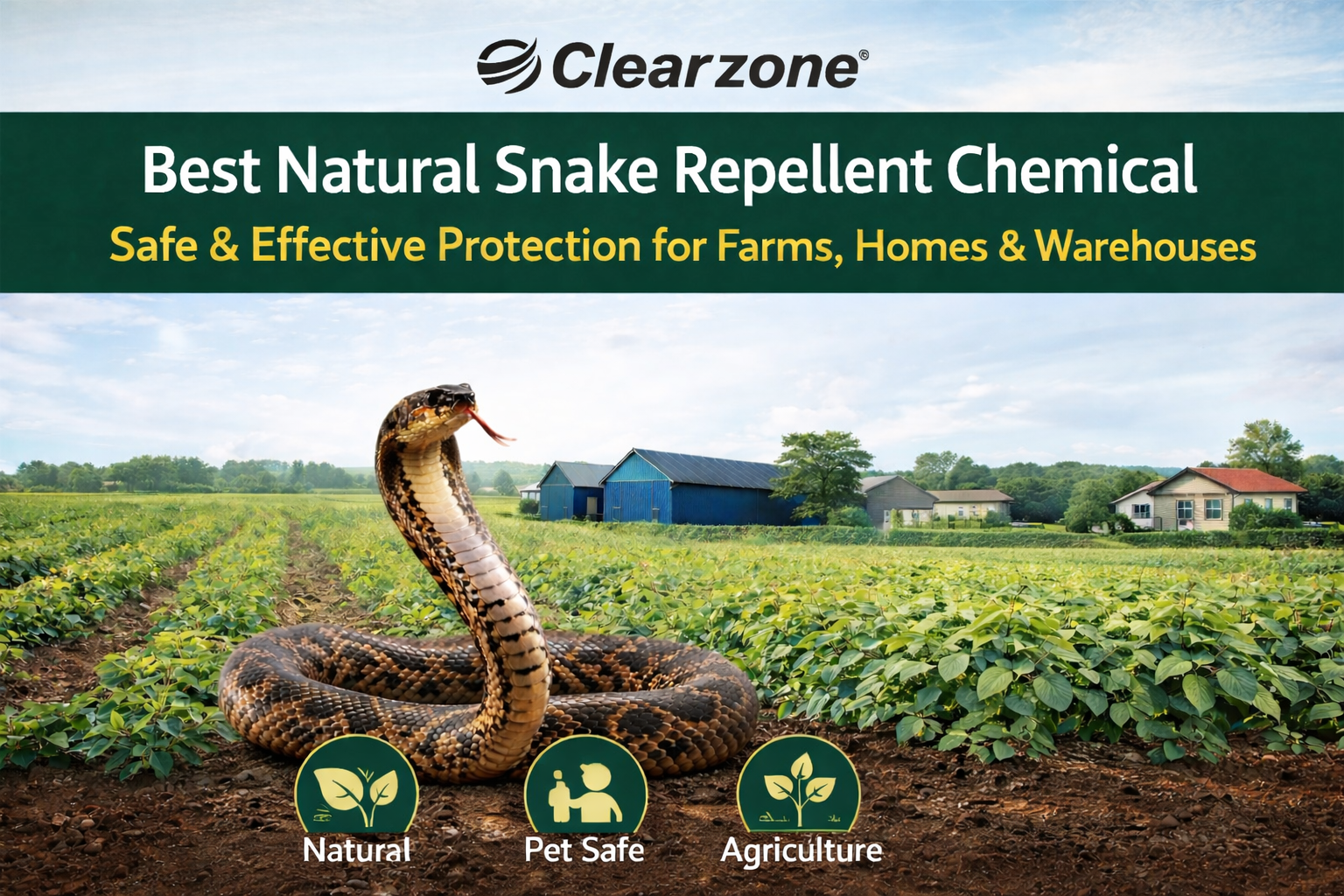 Best Natural Snake Repellent Chemical