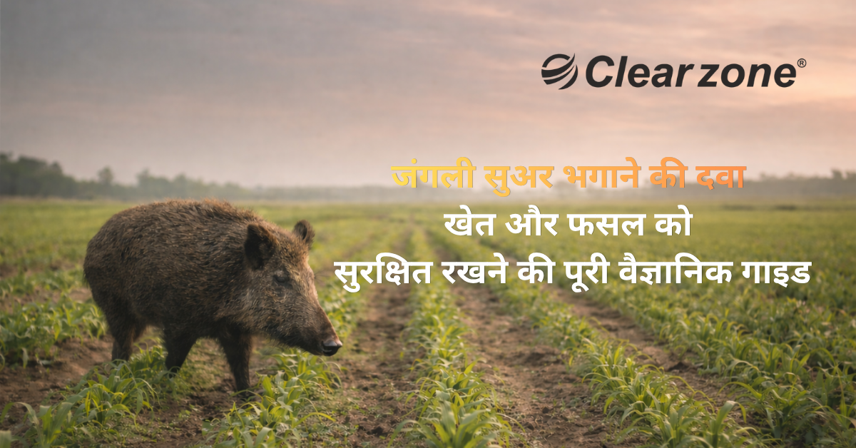 jangli-suar-bhagane-ki-dawa