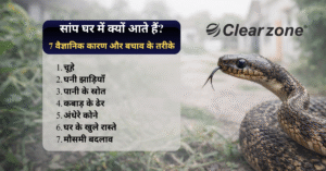 Home 23 saap ghar me kyu aata hai